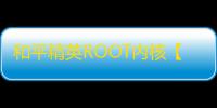 和平精英ROOT内核【张大仙】外挂